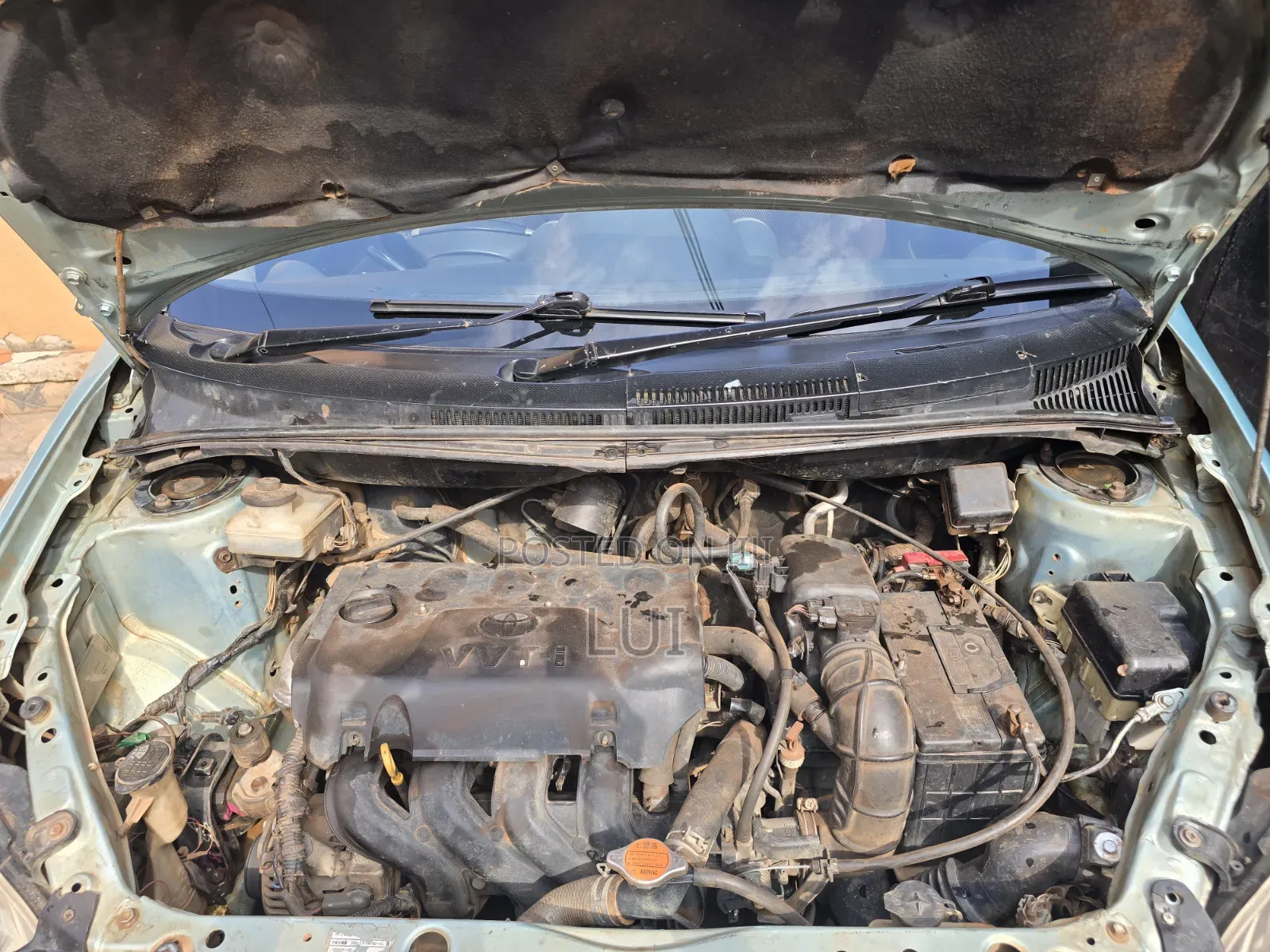 Toyota IST 2003 Green