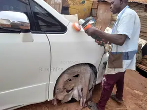 Vehicle Spray Service