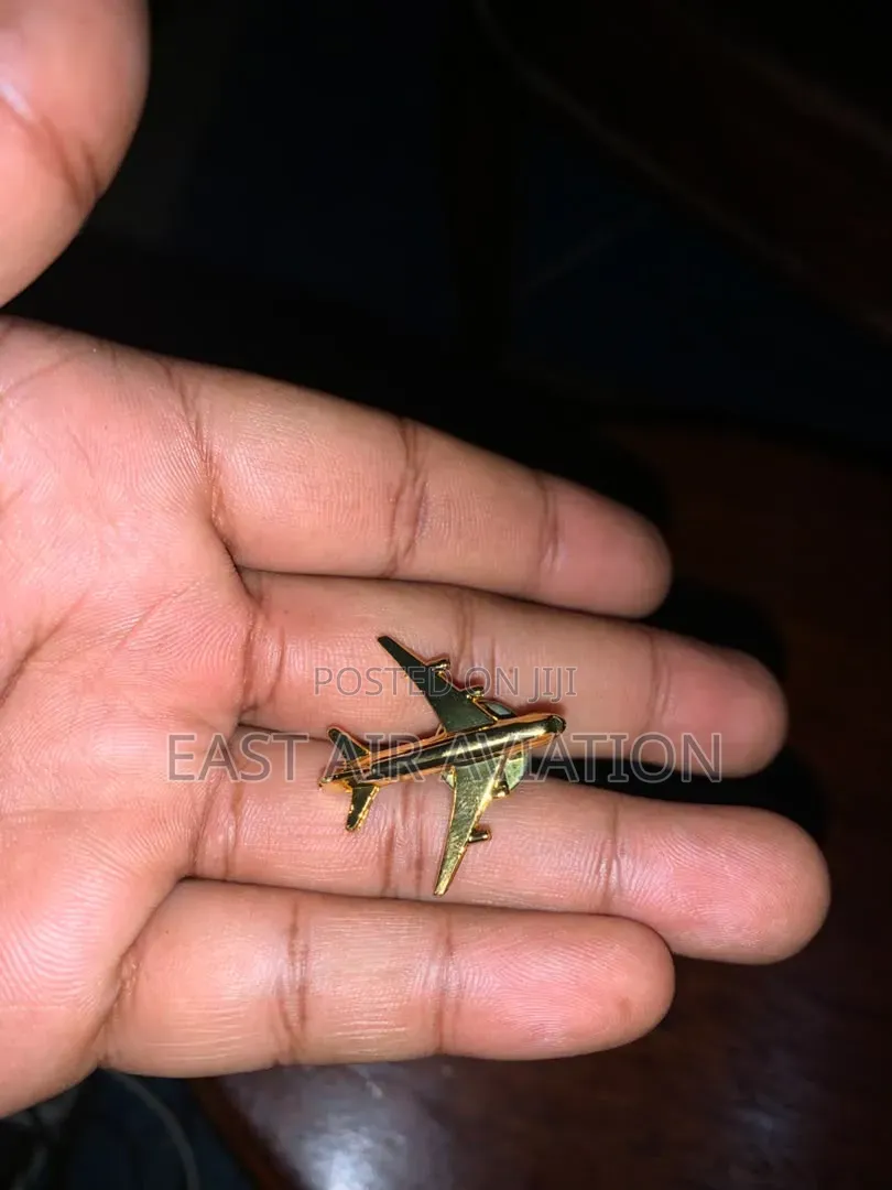 Pilot Airplane Pins