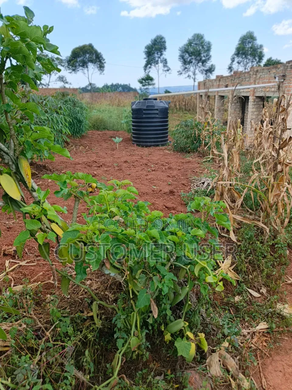 2.8 Mailo Land in Nkokonjeru Town Council for Sale