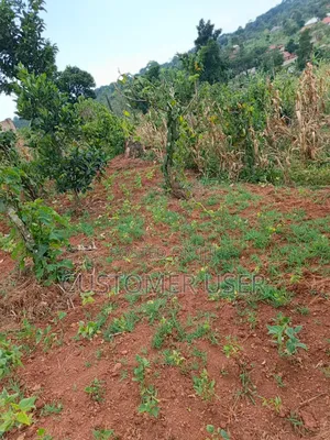 2.8 Mailo Land in Nkokonjeru Town Council for Sale