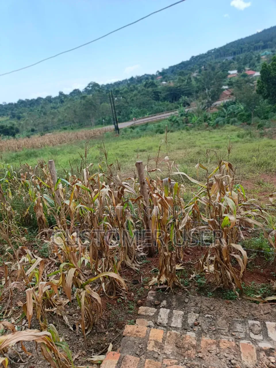 2.8 Mailo Land in Nkokonjeru Town Council for Sale