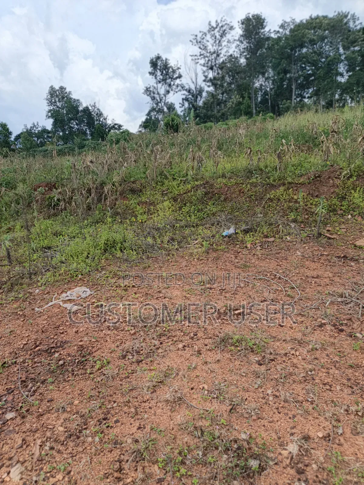 2.8 Mailo Land in Nkokonjeru Town Council for Sale
