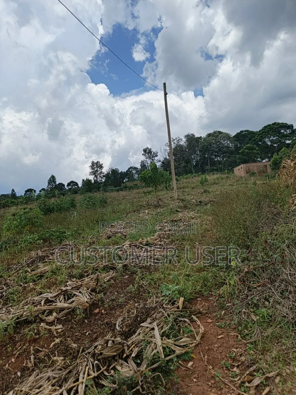 2.8 Mailo Land in Nkokonjeru Town Council for Sale