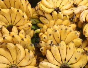 Fresh and Testy