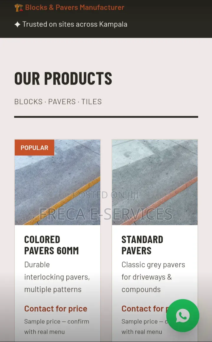 Professional Website Design & Development