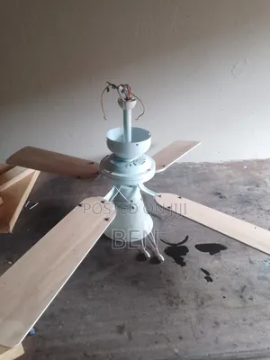 Ceiling Fun