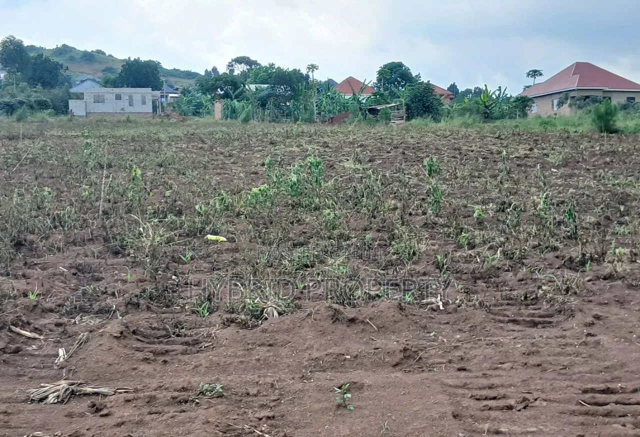 Prime Plots for Sale at Katende~Luwule Modern Land Estate~Masaka Road.