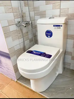 Combined Seating Toilet