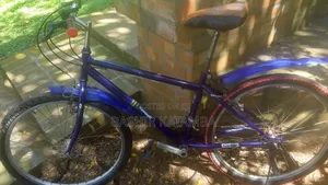 Adult Bike