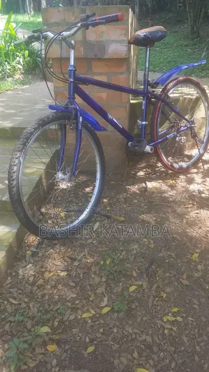 Adult Bike
