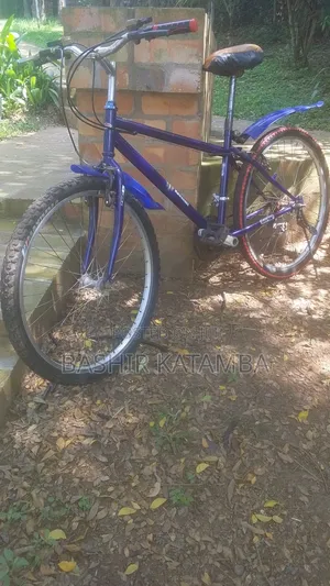 Adult Bike