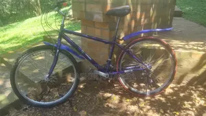 Adult Bike