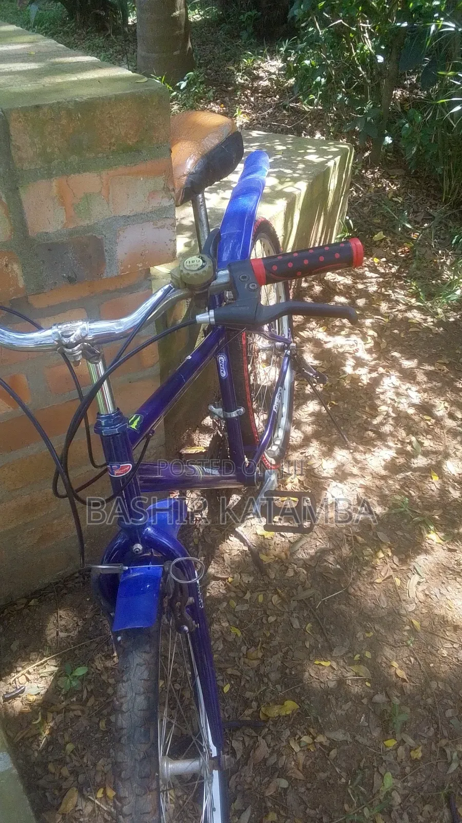 Adult Bike