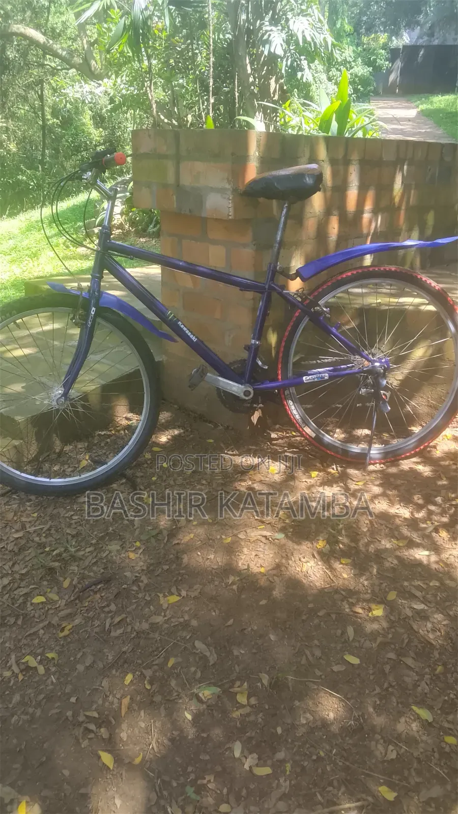 Adult Bike