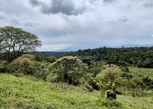 3sq Miles Nakasongola FREEHOLD TITLE