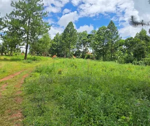 3sq Miles Nakasongola FREEHOLD TITLE