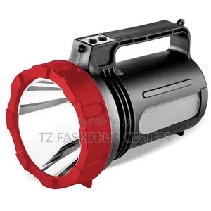 Security Torch