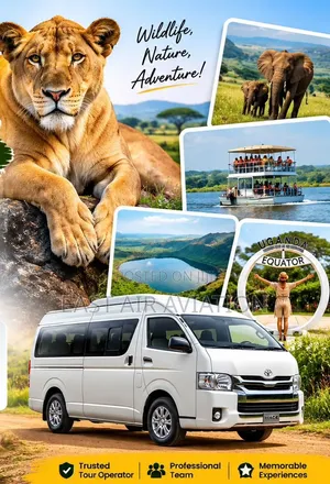 Airport Transfers & Car Rentals