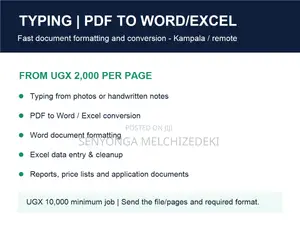 Typing PDF to Word Excel & Document Formatting | Kampala