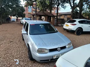 Volkswagen Golf 2002 Silver