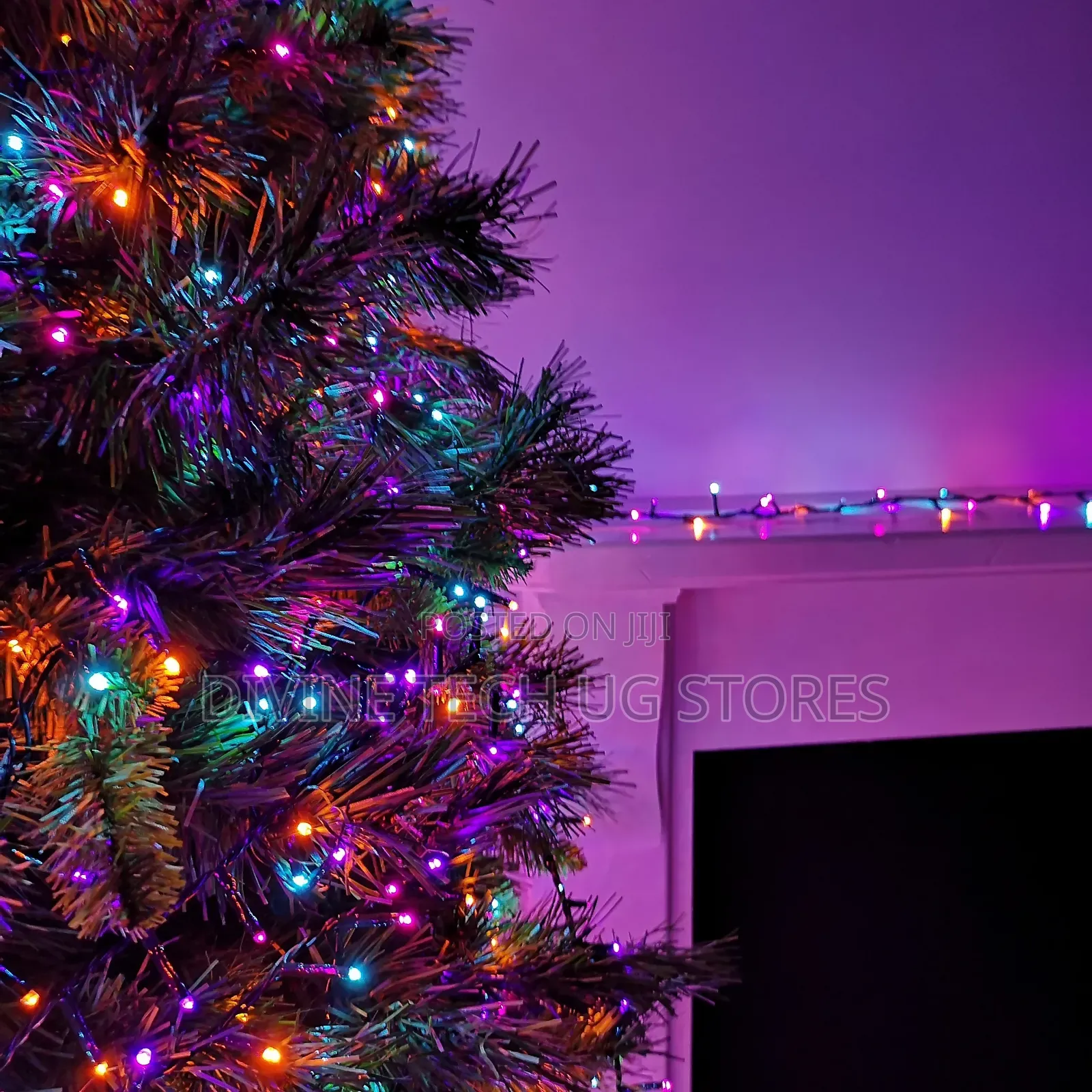 Christmas String Lights- Multiple Colors