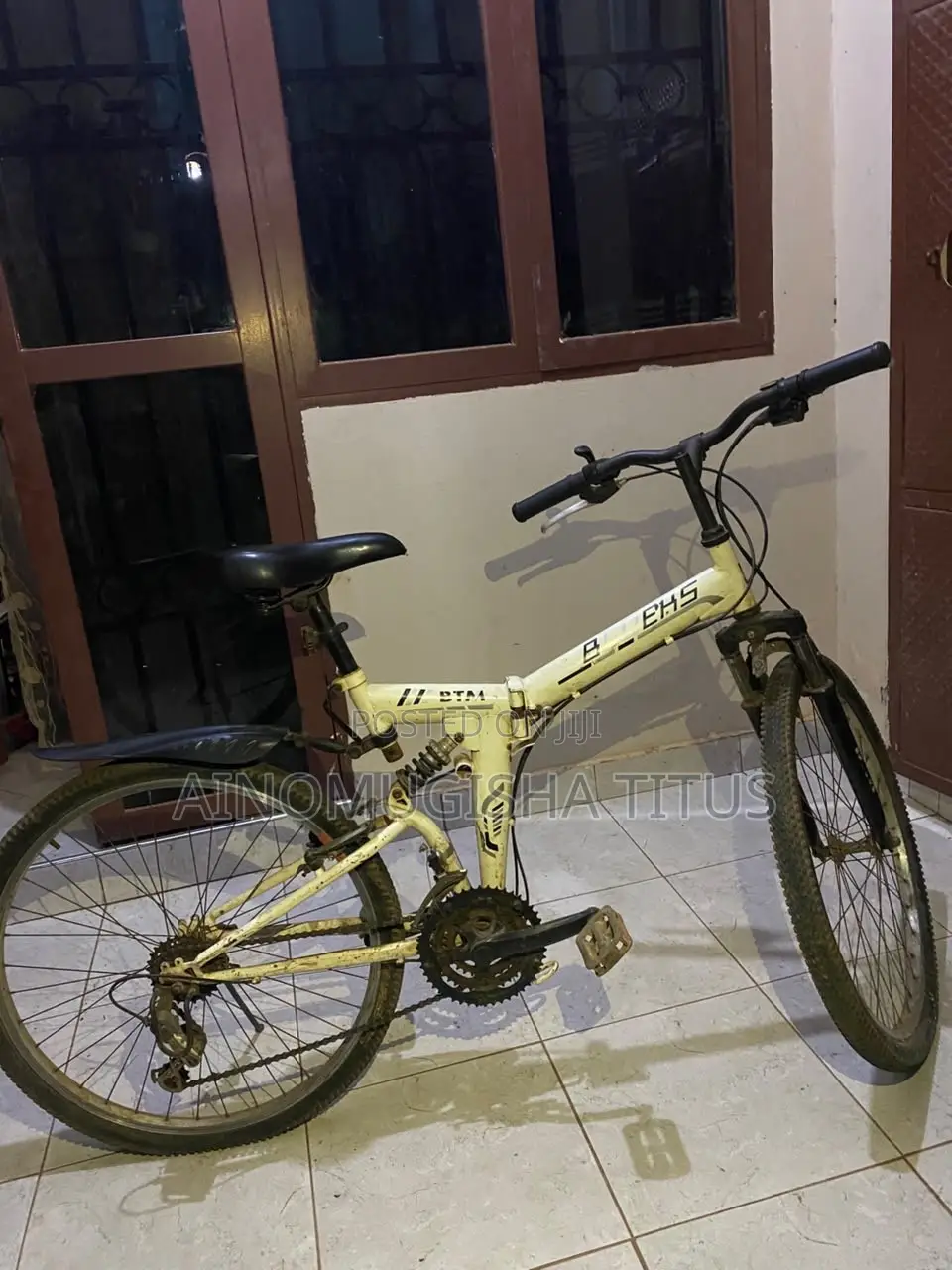 Mountain Bike