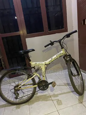 Mountain Bike