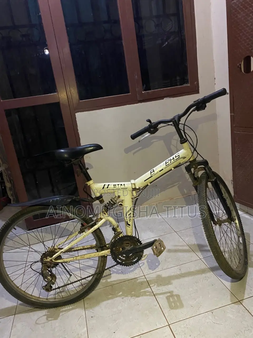 Mountain Bike