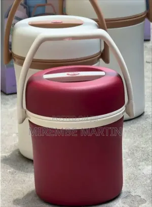 Image Shows a Portable Insulated Food Flask