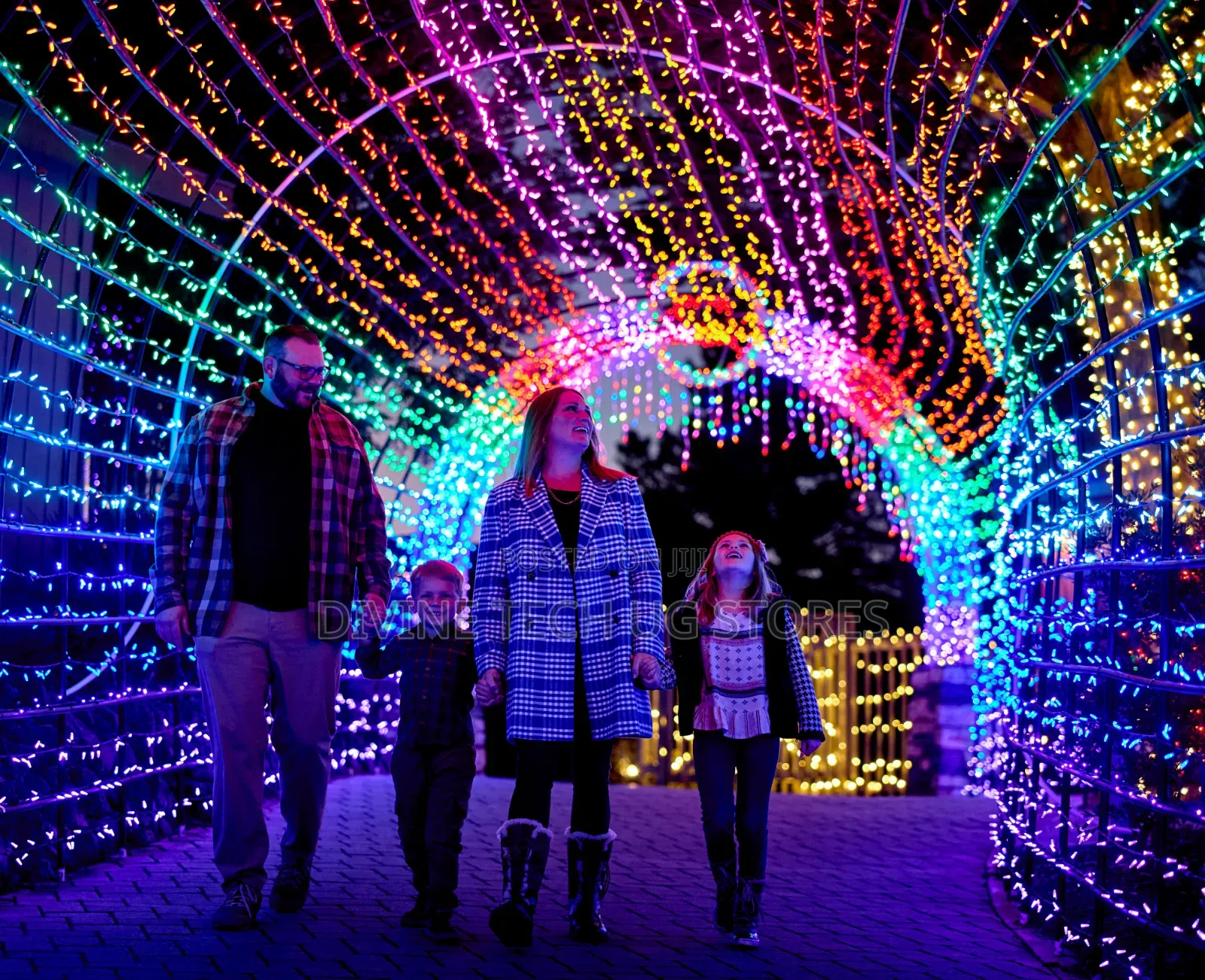 50m Premier Multicolor Indoor and Outdoor Christmas Lights