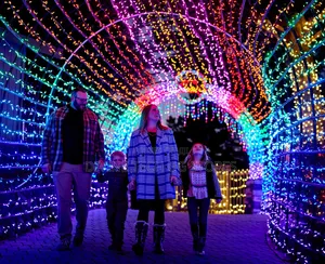 50m Premier Multicolor Indoor and Outdoor Christmas Lights