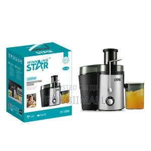 Winning Star 500ML Juice Extractor (Model ST-5546-L)