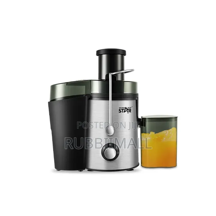 Winning Star 500ML Juice Extractor (Model ST-5546-L)
