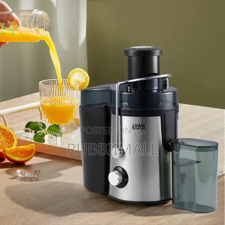 Winning Star 500ML Juice Extractor (Model ST-5546-L)