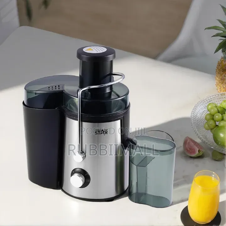 Winning Star 500ML Juice Extractor (Model ST-5546-L)