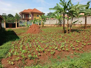 Plot for Sell Masoli Gayaza Rd at 85m 50ft by 100ft