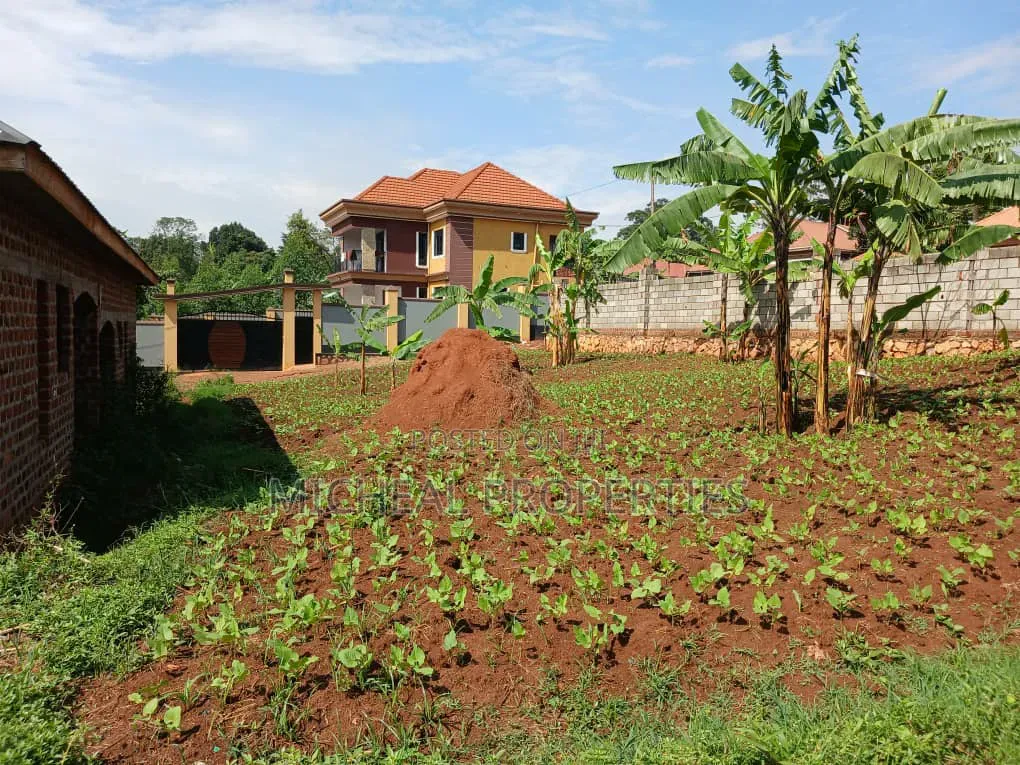 Plot for Sell Masoli Gayaza Rd at 85m 50ft by 100ft