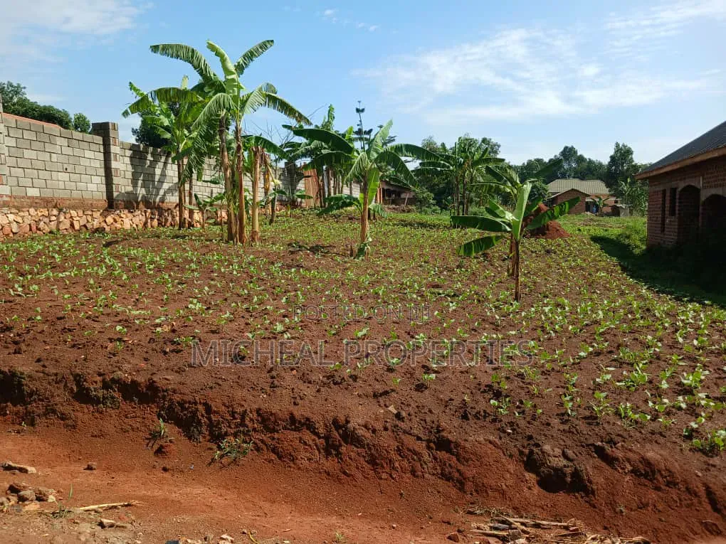 Plot for Sell Masoli Gayaza Rd at 85m 50ft by 100ft