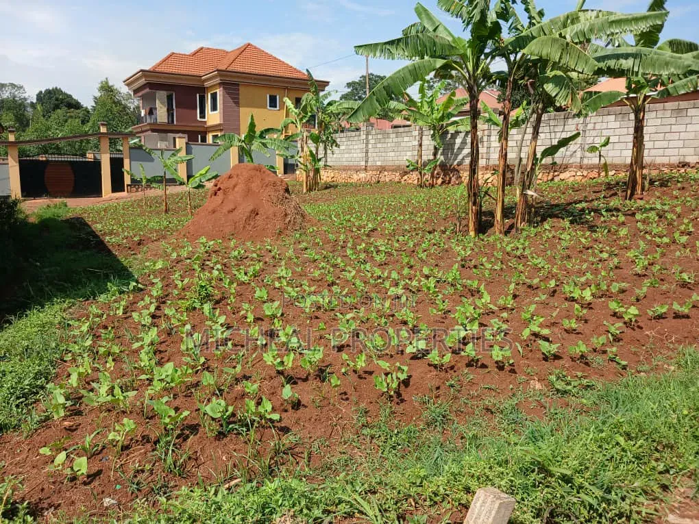 Plot for Sell Masoli Gayaza Rd at 85m 50ft by 100ft