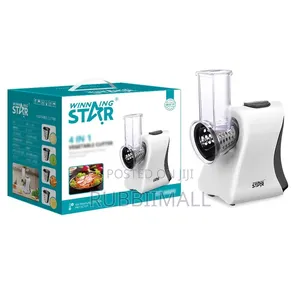 Winning Star 4-in-1 Vegetable Cutter (Model ST-6600)