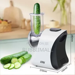 Winning Star 4-in-1 Vegetable Cutter (Model ST-6600)