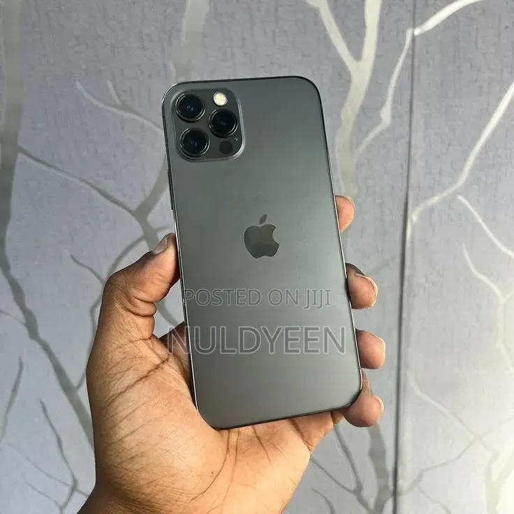 Apple iPhone 12 Pro Max 256 GB