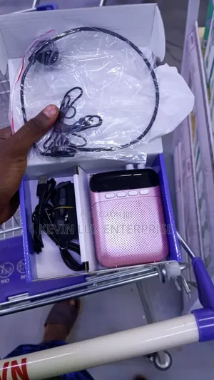 Voice Amplifier With Headset Mic