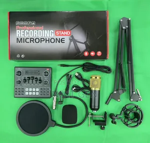 V9s Recording Professional Condenser Microphone Set