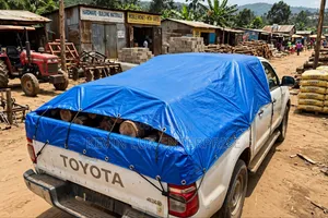 Tarpaulin Water Proof 4X6