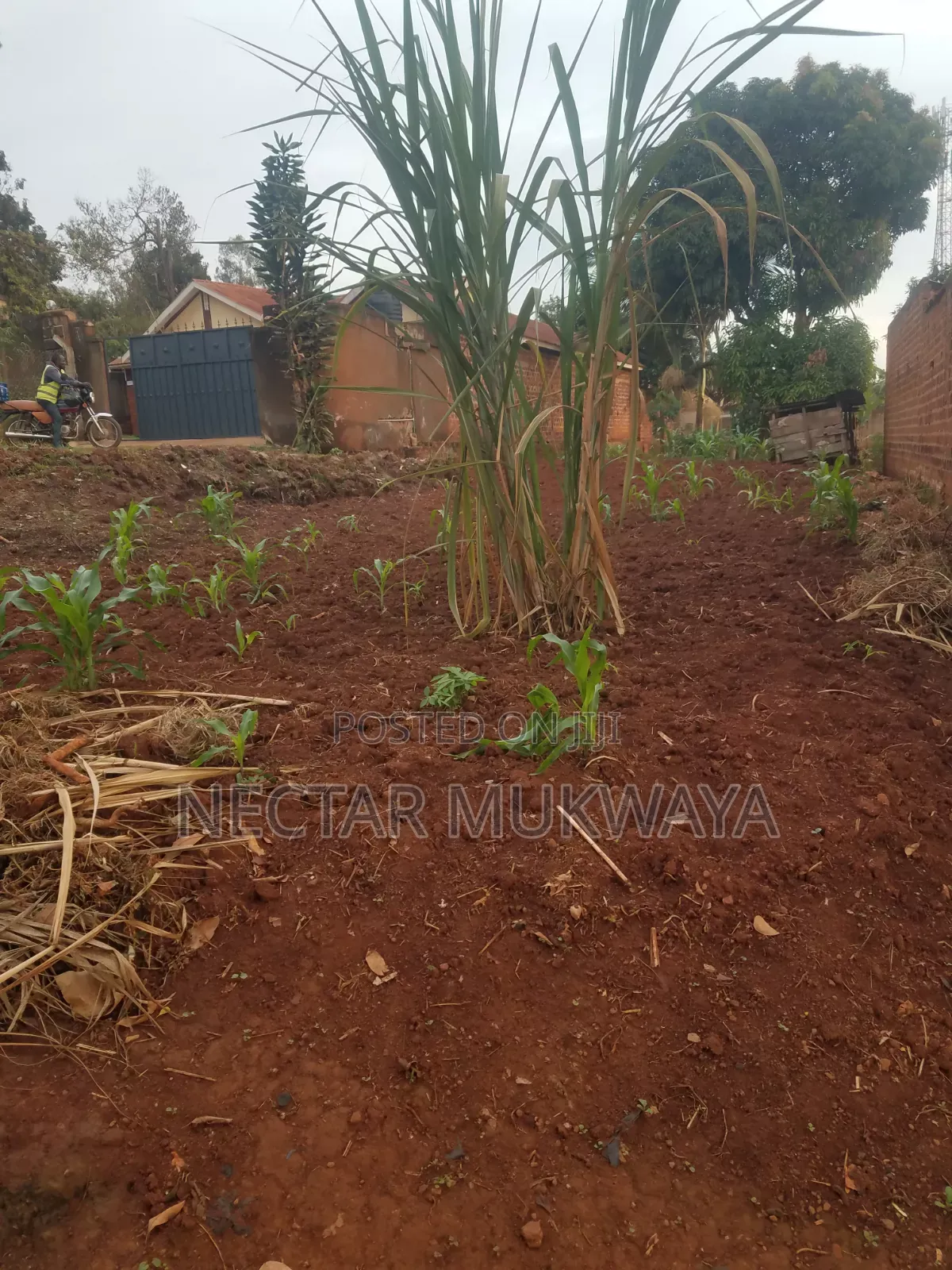 Land Near UCU