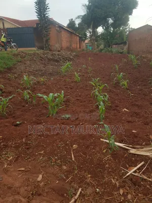 Land Near UCU