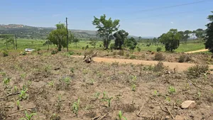 Busunju Town Estate