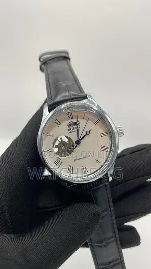Orient Mens Authentic Watches